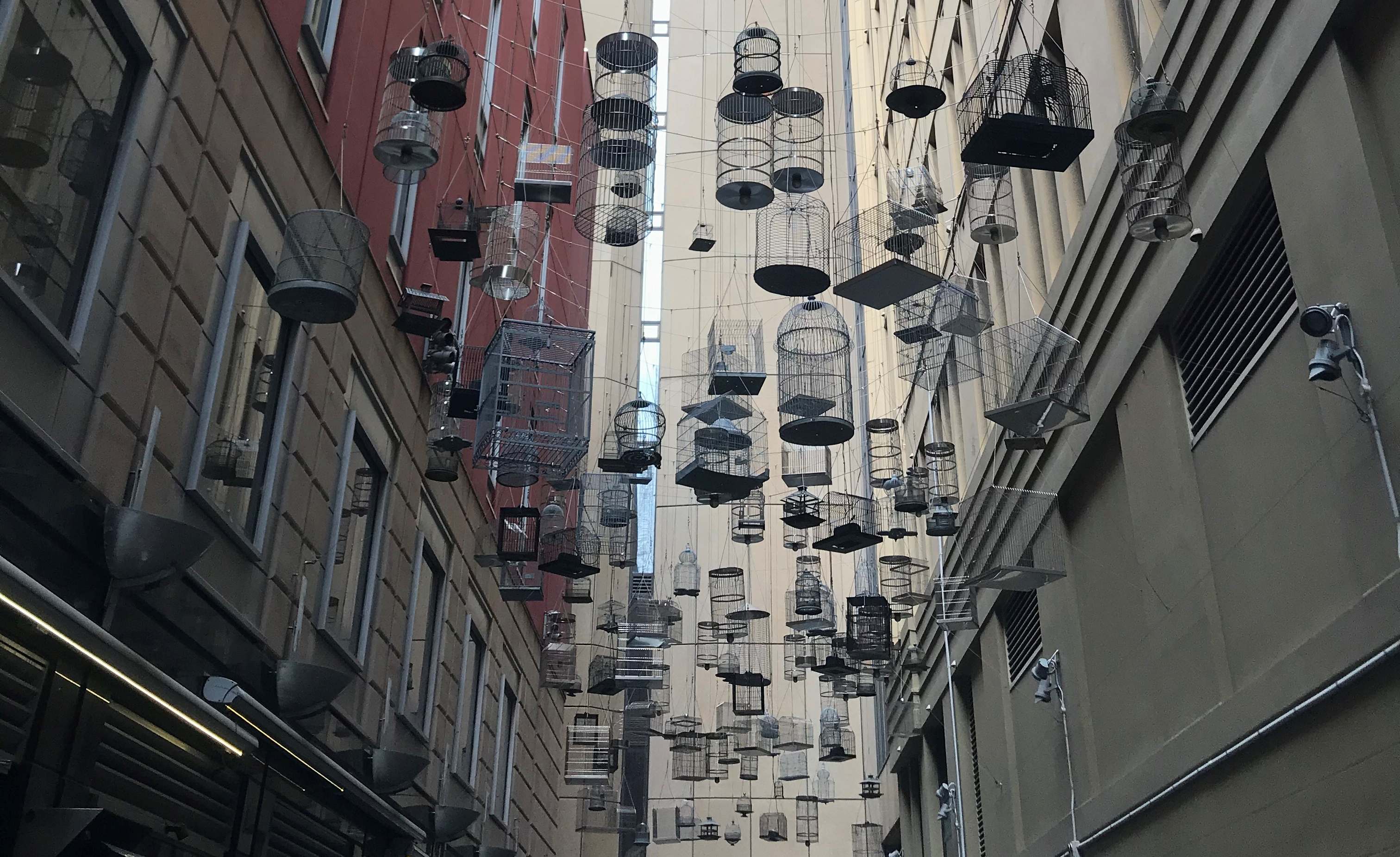 Haunted Sydney (QUEST IN TEST MODE) image
